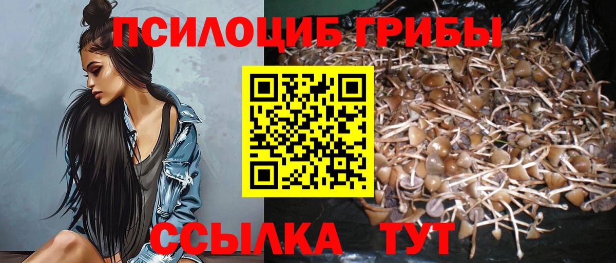 Сергиев Посад  Псилоцибиновые грибы мухоморы  Вход с VPN  Галлюциногенные грибы мицелий 